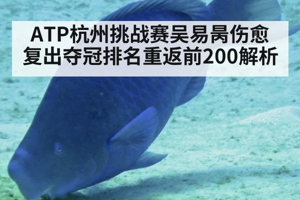 ATP杭州挑战赛吴易昺伤愈复出夺冠排名重返前200解析